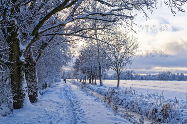 The onset of winter with snow on the Lower Warwischer Wasserweg in Hamburg's Vier- und Marschlanden. Kirchwerder, Hamburg, Germany