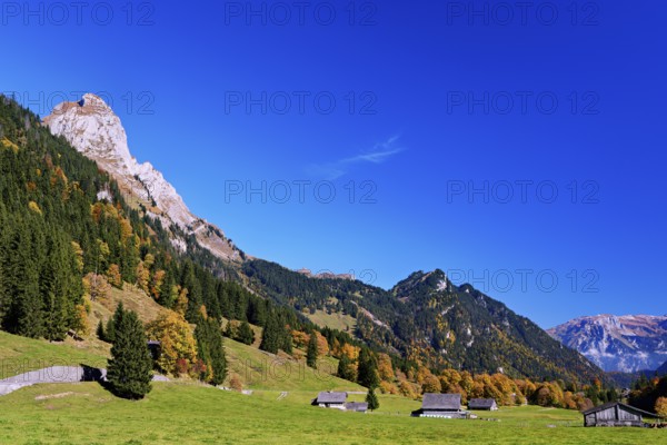 Autumn-colored forest, against mountain backdrop, Canton of Glarus, Switzerland
