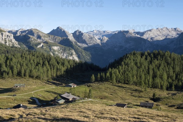 View across the Gotzenalm alpine meadows to the Teufelshörner and Hochkönig mountain peaks in the Berchtesgaden National Park, Bavaria, Germany
