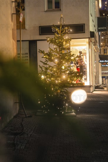 A small Christmas tree with lights in front of a shop window in the illuminated Nachtstraße, Nagold, Calw district, Black Forest, Germany