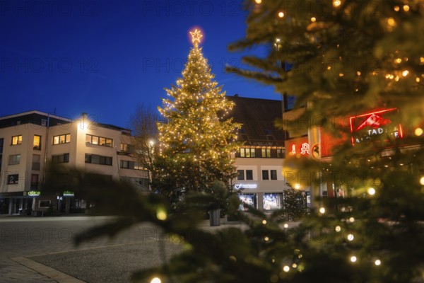 Christmas tree with lights on an urban square at dusk, Nagold, Calw district, Black Forest, Germany