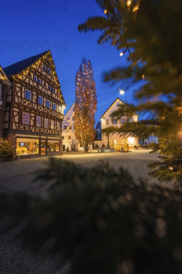 Illuminated half-timbered houses and a tall tree in a nighttime urban landscape, Nagold, Calw district, Black Forest, Germany
