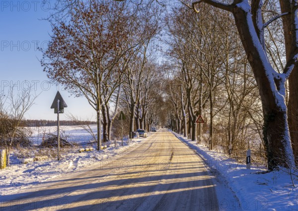 Landscape and country road in the historic district of Lübars, Berlin Reinickendorf, Germany
