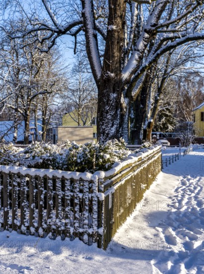 Wooden fence covered with snow, plot in Berlin Lübars, Germany
