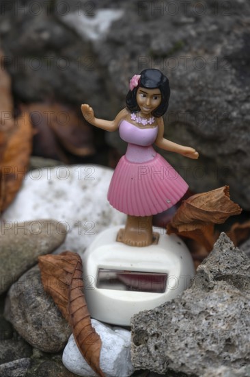 Dashboard wobble figure hula woman solar Hawaiian hula girl dancing in a garden, Bavaria, Germany