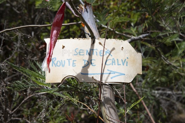 Guide to the Calanche, Les Calanches de Piana, Corse-du-Sud, Corsica, France