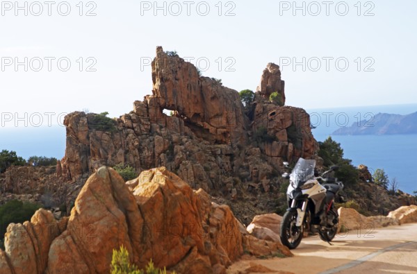 Bizarre rock erosions in evening light, Calanche, Les Calanches de Piana, Corse-du-Sud, Corsica, France