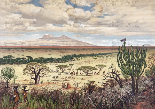 Steppe at the foot of Mount Kilimanjaro, tropical savanna landscape, 1910, Tanzania, authentic reproduction of a school mural, historical, exact date unknown