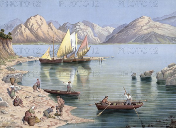 Sponge diver, sponge fisherman at work, around 1913, Greece, authentic reproduction of a school mural, historical, exact date unknown