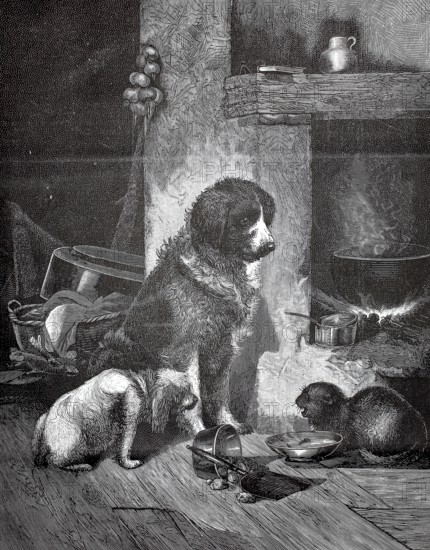 Dogs and aggressive cats fighting over a food bowl, 880, Three dogs rest in a cozy pantry full of supplies and utensils, historic, authentic, digitally restored reproduction from a 19th-century model, Record date not stated