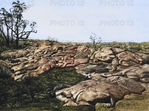 Kilauea lava flow, Hawaii, volcano, eruption from 1885, America, authentic reproduction of a school mural, historic, around 1900