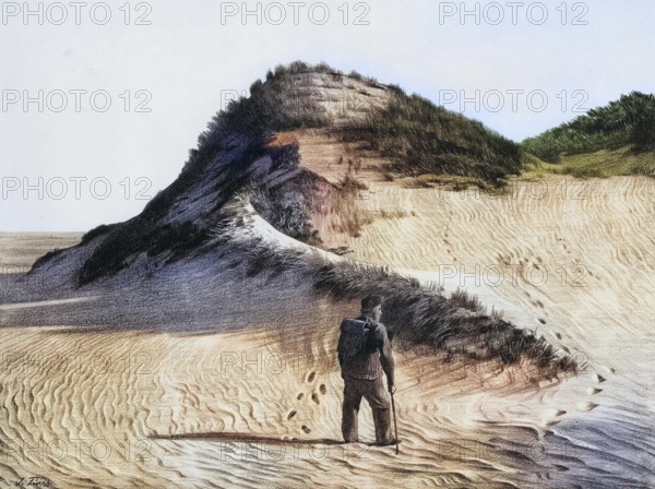 Dune on the west coast of the island of Sylt, North Sea, Germany, authentic reproduction of a school mural, historic, around 1900
