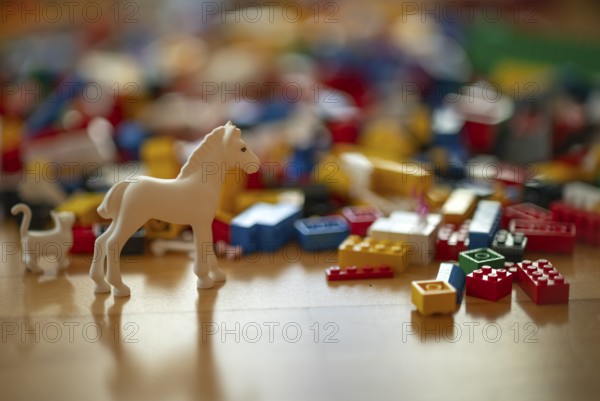 Various coloured Lego building blocks, horse, cat, lying on floor, parquet, Stuttgart, Baden-Württemberg, Germany