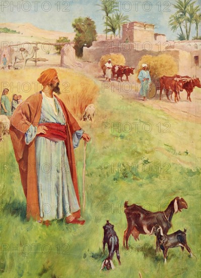 Scene from the biblical story, reliance on wealth, authentic reproduction of a school mural, historical, around 1900, a farmer standing in a field with his goats while farmers work with oxen in the background