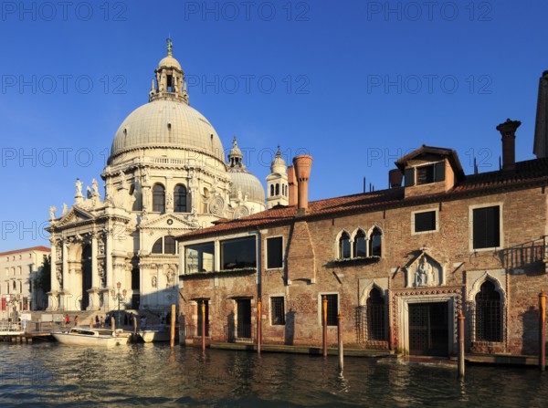 Basilica di S. Maria della Salute and former monastery Abbazia di San Gregorio on the Grand Canal, Venice, Veneto, Italy