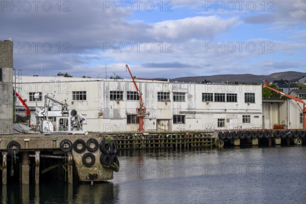 Fishing industry industrial building at the harbour with red loading cranes on the quay, water and sky visible, Båtsfjord, Finnmark, Norway
