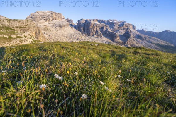 View of rocky mountain peaks of the Brenta Mountains in the evening light, mountain landscape on the Grosté Plateau, Brenta, Parco Naturale Brenta-Adamello, Trentino, Italy