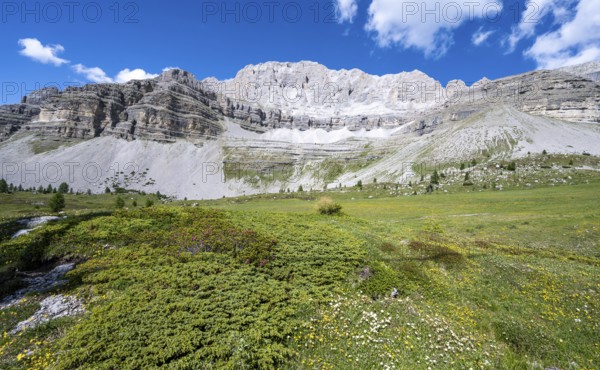 Pietra Grande Rocky Peaks, Brenta, Brenta-Adamello Natural Park, Trentino, Italy