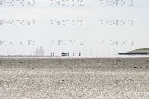 Wide view of the Wadden Sea at low tide with wind turbines and a sailing ship on the horizon in the foreground, a group of people hiking on the mudflat, Oosterend, Noord-Holland, the Netherlands