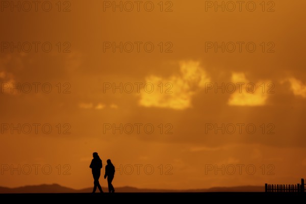 Two people walking in silhouette in front of an orange sunset on the horizon, Texel Island, Den Hoorn, Noord-Holland, Netherlands