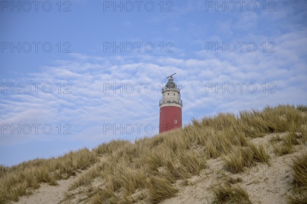 The red lighthouse of De Cocksdorp in the north of the island of Texel rises behind sandy dunes under a blue sky, the Cockdorp, island of Texel, North Holland, the Netherlands