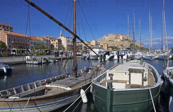 Calvi marina with citadel at the back, Balagne, Haute-Corse Department, Corsica, France