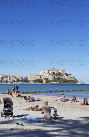 Calvi beach, back the citadel, Balagne, Haute-Corse department, Corsica, France