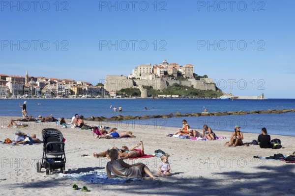 Calvi beach, back the citadel, Balagne, Haute-Corse department, Corsica, France