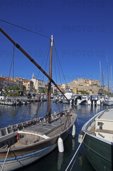 Calvi marina with citadel at the back, Balagne, Haute-Corse Department, Corsica, France
