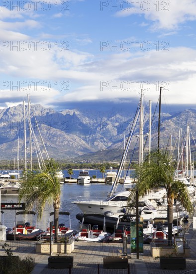 Calvi marina, with the mountains of the Balagne region in the Haute-Corse department, Corsica, France