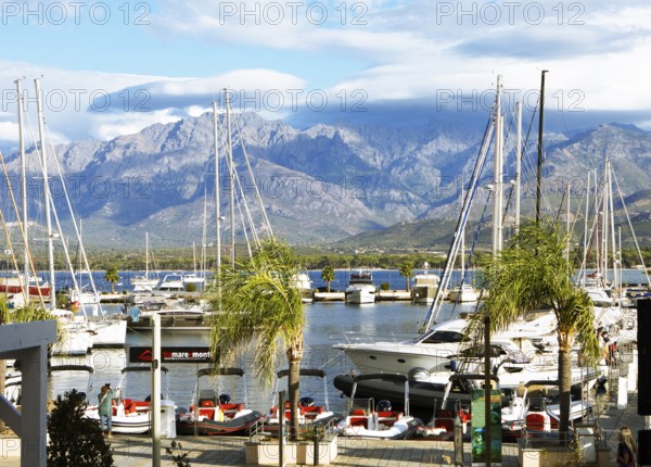 Calvi marina, with the mountains of the Balagne region in the Haute-Corse department, Corsica, France