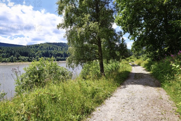 Hiking trail in Schwarzenbach Reservoir in Black Forest in Forbach in Germany