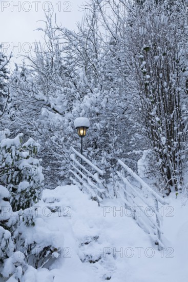 Snowy trees, garden, fence, lamp, snow, winter, Sieversen, Samtgemeinde Rosengarten, Lower Saxony, Germany