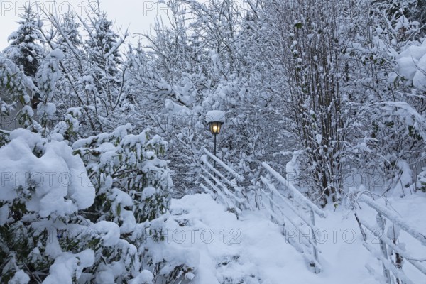 Snowy trees, garden, fence, lamp, snow, winter, Sieversen, Samtgemeinde Rosengarten, Lower Saxony, Germany