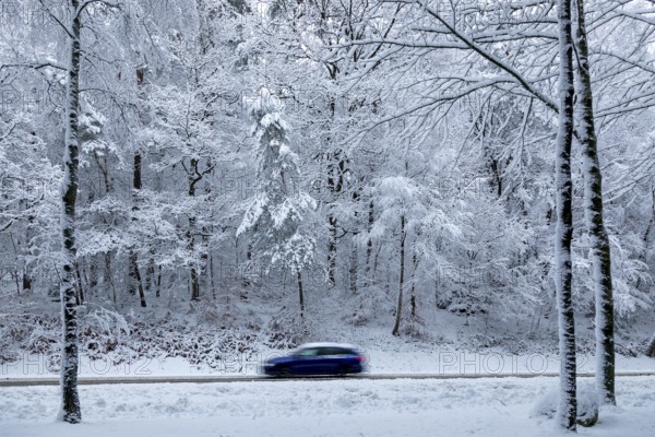 Car driving through snowy landscape, trees, winter, snow, Sieversen, Samtgemeinde Rosengarten, Lower Saxony, Germany