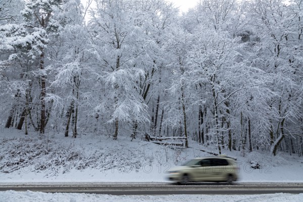 Car, taxi driving through snowy landscape, trees, winter, snow, Sieversen, Samtgemeinde Rosengarten, Lower Saxony, Germany