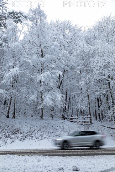 Car driving through snowy landscape, trees, winter, snow, Sieversen, Samtgemeinde Rosengarten, Lower Saxony, Germany