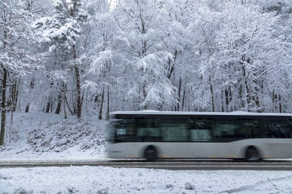 Bus drives through snowy landscape, trees, winter, snow, Sieversen, Samtgemeinde Rosengarten, Lower Saxony, Germany