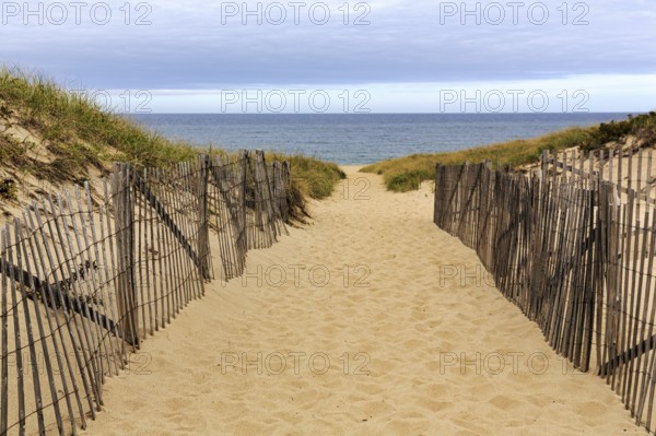 Sand path leads through dunes to sea, beach landscape with wooden fence, dune protection, cloud cover in autumn, Provincetown, Race Point Beach, Cape Cod National Seashore, Atlantic Coast, Massachusetts, New England, USA