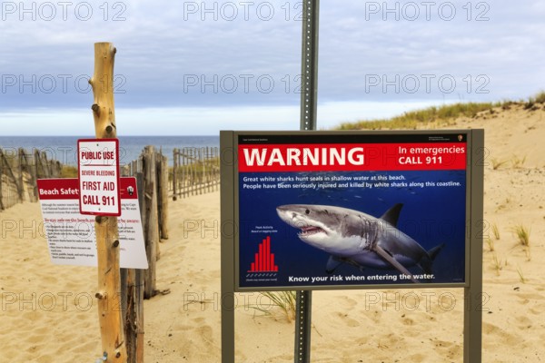 Information board, signs warning of white sharks, safety, emergency call, coastline, Provincetown, Race Point Beach, Cape Cod National Seashore, Atlantic Coast, Massachusetts, New England, USA