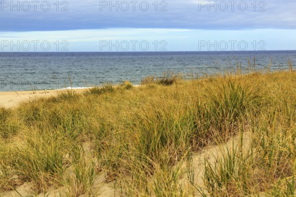 Ocean dune landscape, tall grasses on sand dunes, cloud cover, Provincetown, Race Point Beach, Cape Cod National Seashore, Atlantic Coast, Massachusetts, New England, USA