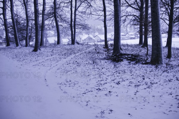 Snowy forest trail with a view of a village in the background, Siegen