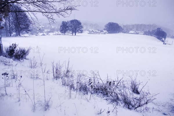 Snow-covered wide plain with a view of a village and surrounding trees, Siegen