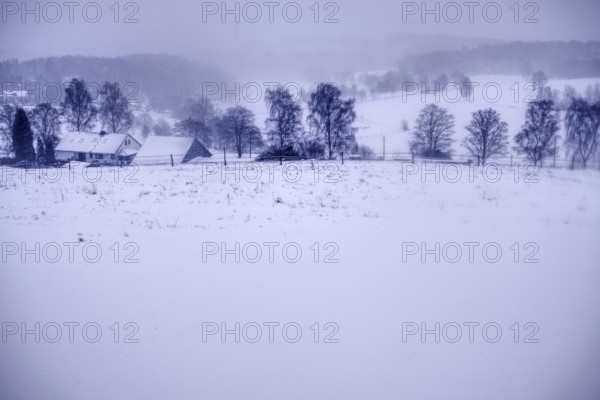 Snowy village in the background flanked by trees under winter fog, Siegen