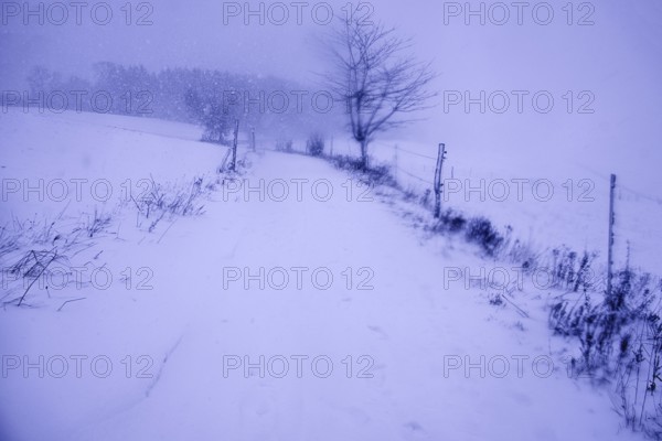 Stormy snowy trail with wind and little visibility, Siegen