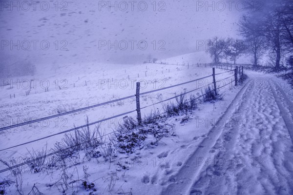 Snowy hillside trail with fence under heavy snowfall and cloudy sky, Siegen