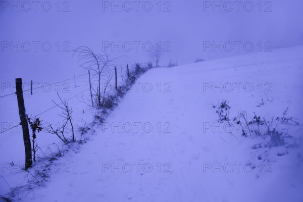 Snowy path with fences on the sides under cloudy sky, Siegen