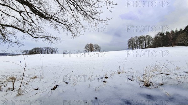 Wide snow-covered landscape with scattered trees and cloudy sky, Siegen