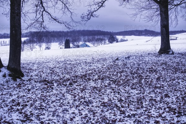 Snowy field with two big trees and a hut in the distance, Siegen