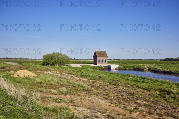 Hunnebüllerkoog, Hunnebüller Sielzug, landscape, pumping plant, Siel, wasteland, grass, sand, bushes, blue sky, cloudless, Risum-Lindholm, North Frisia district, Schleswig-Holstein, Germany